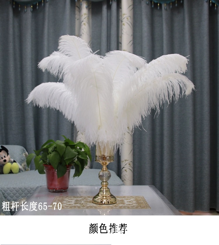 Feather Full Size 10-90cm Full Size Full Color Feather Clothing Accessories Wedding Celebration Decoration Ostrich Hair
