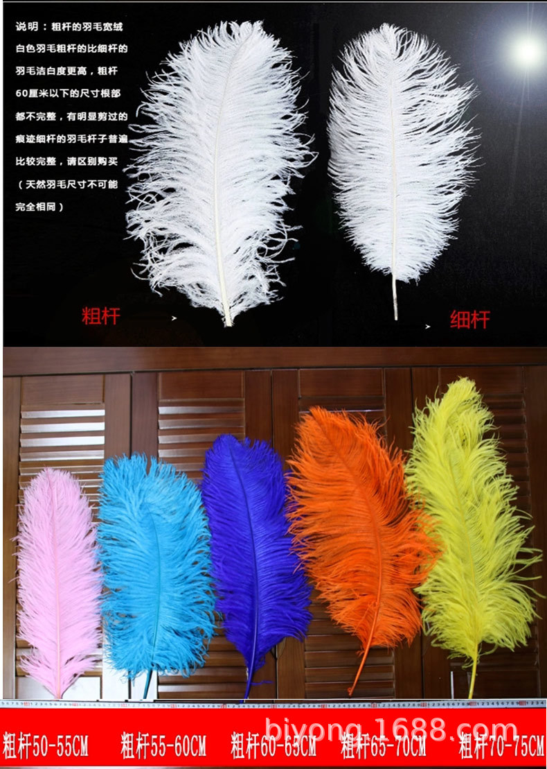 Feather Full Size 10-90cm Full Size Full Color Feather Clothing Accessories Wedding Celebration Decoration Ostrich Hair Feather Full Size 10-90cm Full Size Full Color Feather Clothing Accessories Wedding Celebration Decoration Ostrich Hair