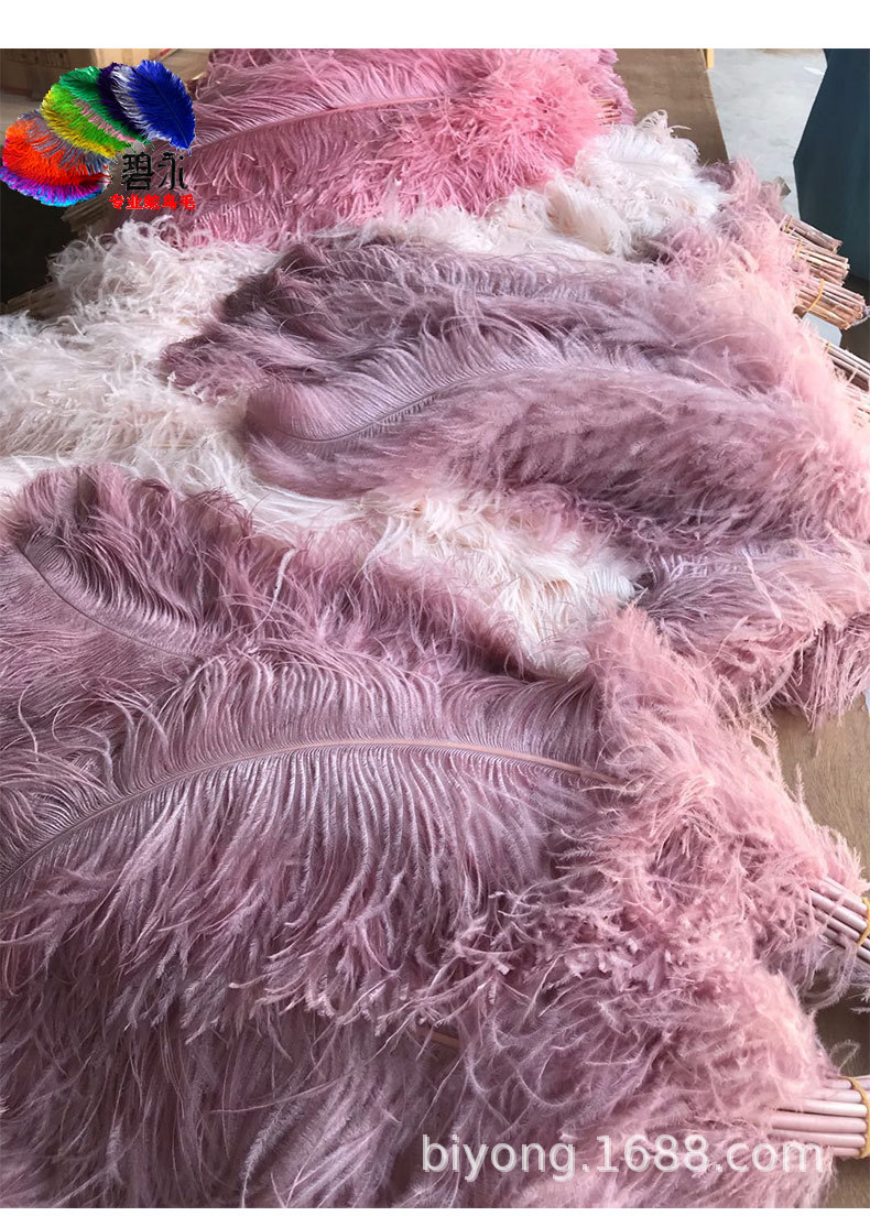 Feather Full Size 10-90cm Full Size Full Color Feather Clothing Accessories Wedding Celebration Decoration Ostrich Hair Feather Full Size 10-90cm Full Size Full Color Feather Clothing Accessories Wedding Celebration Decoration Ostrich Hair
