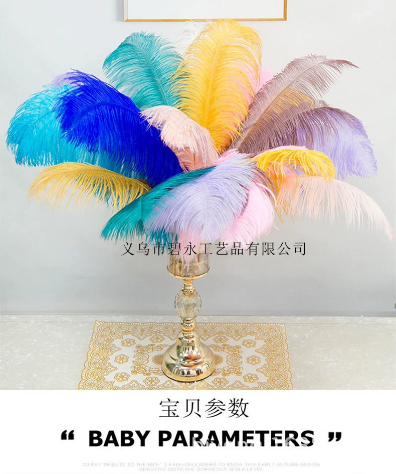 Feather Full Size 10-90cm Full Size Full Color Feather Clothing Accessories Wedding Celebration Decoration Ostrich Hair Feather Full Size 10-90cm Full Size Full Color Feather Clothing Accessories Wedding Celebration Decoration Ostrich Hair