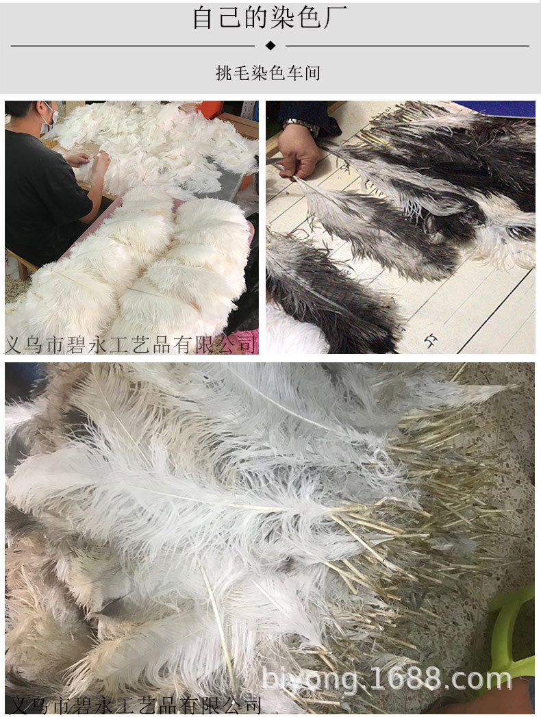 Feather Full Size 10-90cm Full Size Full Color Feather Clothing Accessories Wedding Celebration Decoration Ostrich Hair Feather Full Size 10-90cm Full Size Full Color Feather Clothing Accessories Wedding Celebration Decoration Ostrich Hair