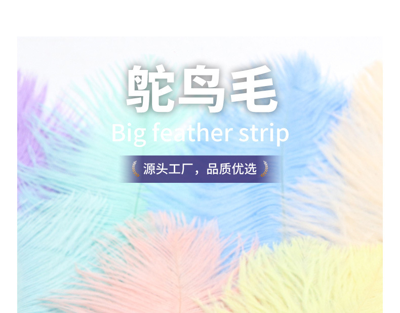 Supply Ostrich Feather 15-20cm Ostrich Feather Decorative Feather Net Red Wall Yiwu in Stock Wholesale Ostrich Hair Supply Ostrich Feather 15-20cm Ostrich Feather Decorative Feather Net Red Wall Yiwu in Stock Wholesale Ostrich Hair