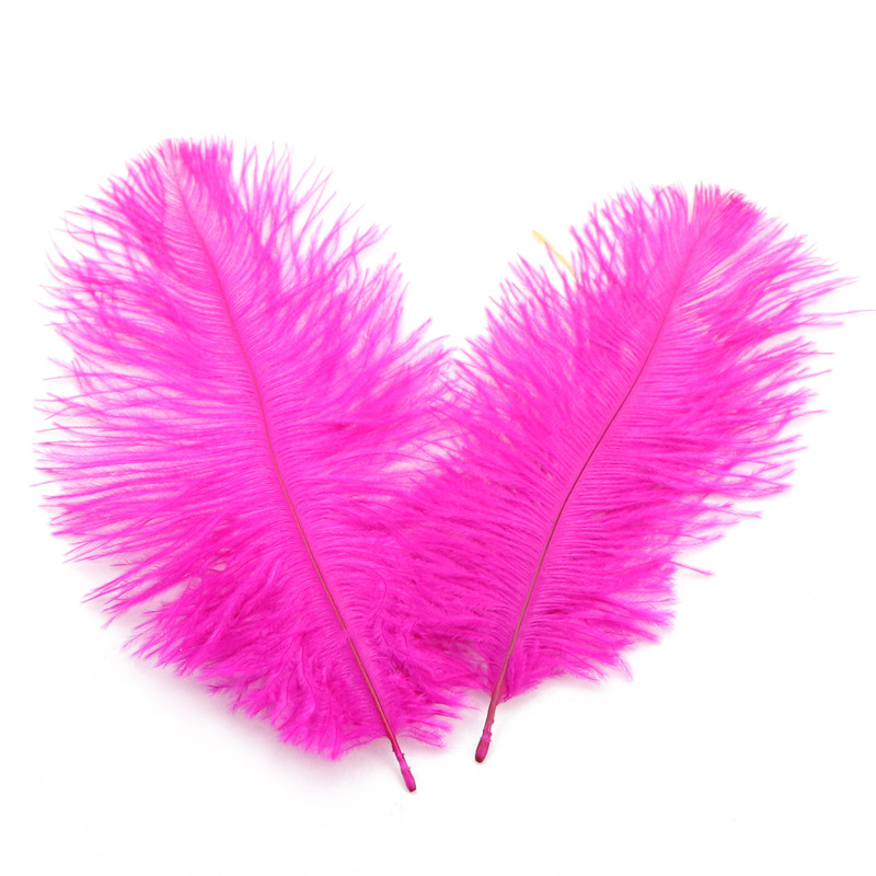 Supply Ostrich Feather 15-20cm Ostrich Feather Decorative Feather Net Red Wall Yiwu in Stock Wholesale Ostrich Hair