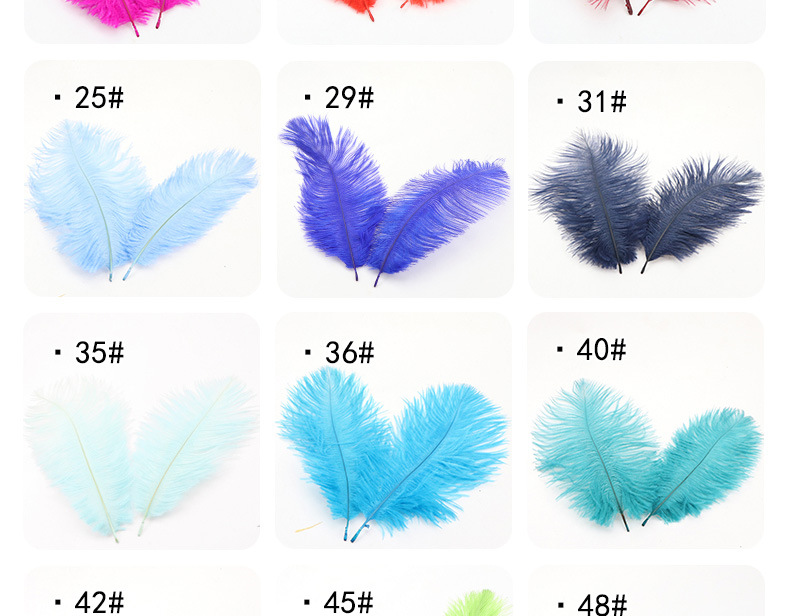 Supply Ostrich Feather 15-20cm Ostrich Feather Decorative Feather Net Red Wall Yiwu in Stock Wholesale Ostrich Hair Supply Ostrich Feather 15-20cm Ostrich Feather Decorative Feather Net Red Wall Yiwu in Stock Wholesale Ostrich Hair