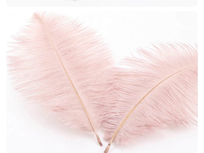Supply Ostrich Feather 15-20cm Ostrich Feather Decorative Feather Net Red Wall Yiwu in Stock Wholesale Ostrich Hair Supply Ostrich Feather 15-20cm Ostrich Feather Decorative Feather Net Red Wall Yiwu in Stock Wholesale Ostrich Hair