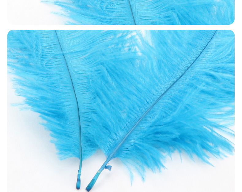 Supply Ostrich Feather 15-20cm Ostrich Feather Decorative Feather Net Red Wall Yiwu in Stock Wholesale Ostrich Hair Supply Ostrich Feather 15-20cm Ostrich Feather Decorative Feather Net Red Wall Yiwu in Stock Wholesale Ostrich Hair