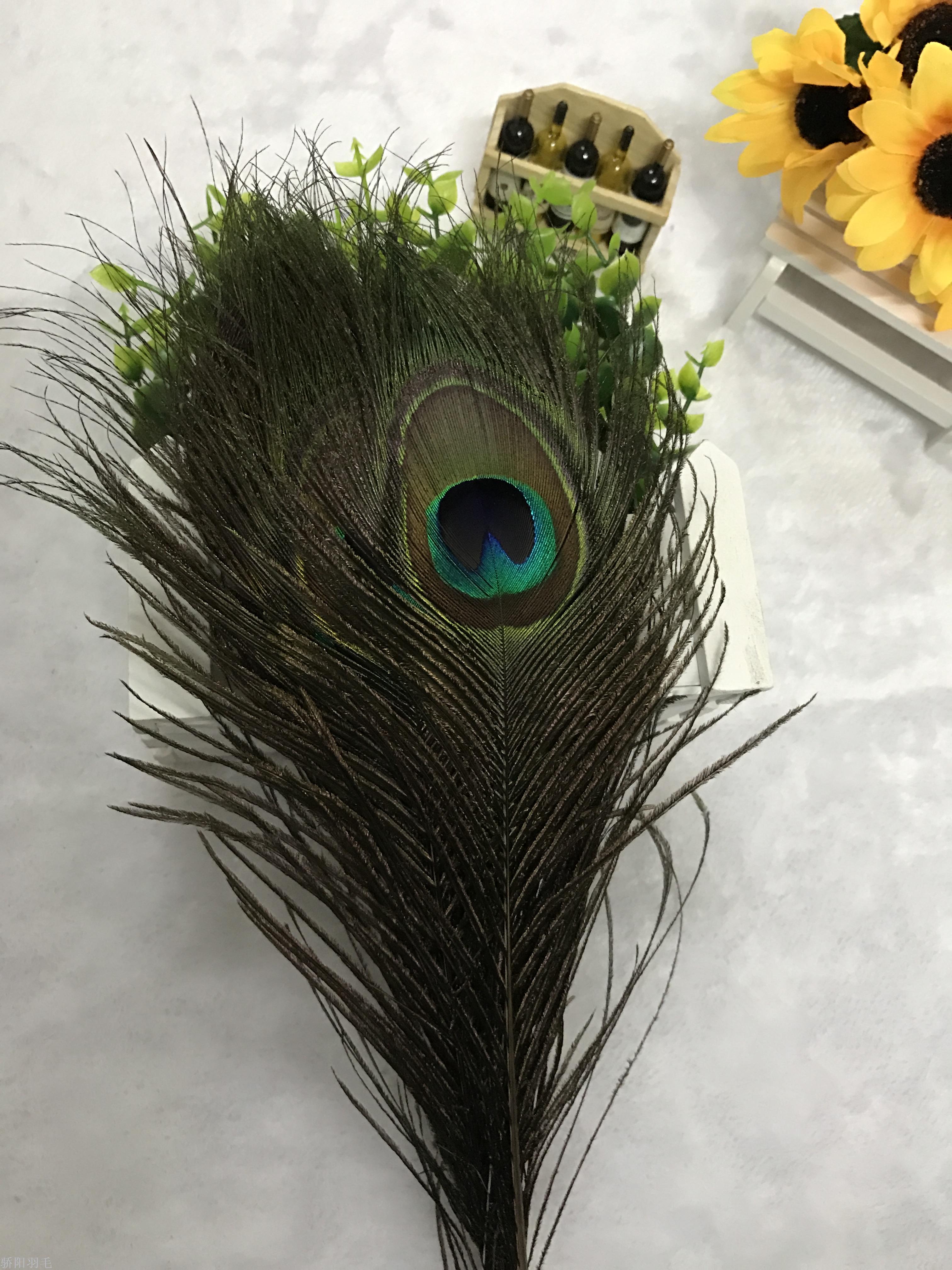 Spot supply of high quality wool, feathers, peacock pheasant Turkey, ostrich hair Spot supply of high quality wool, feathers, peacock pheasant Turkey, ostrich hair