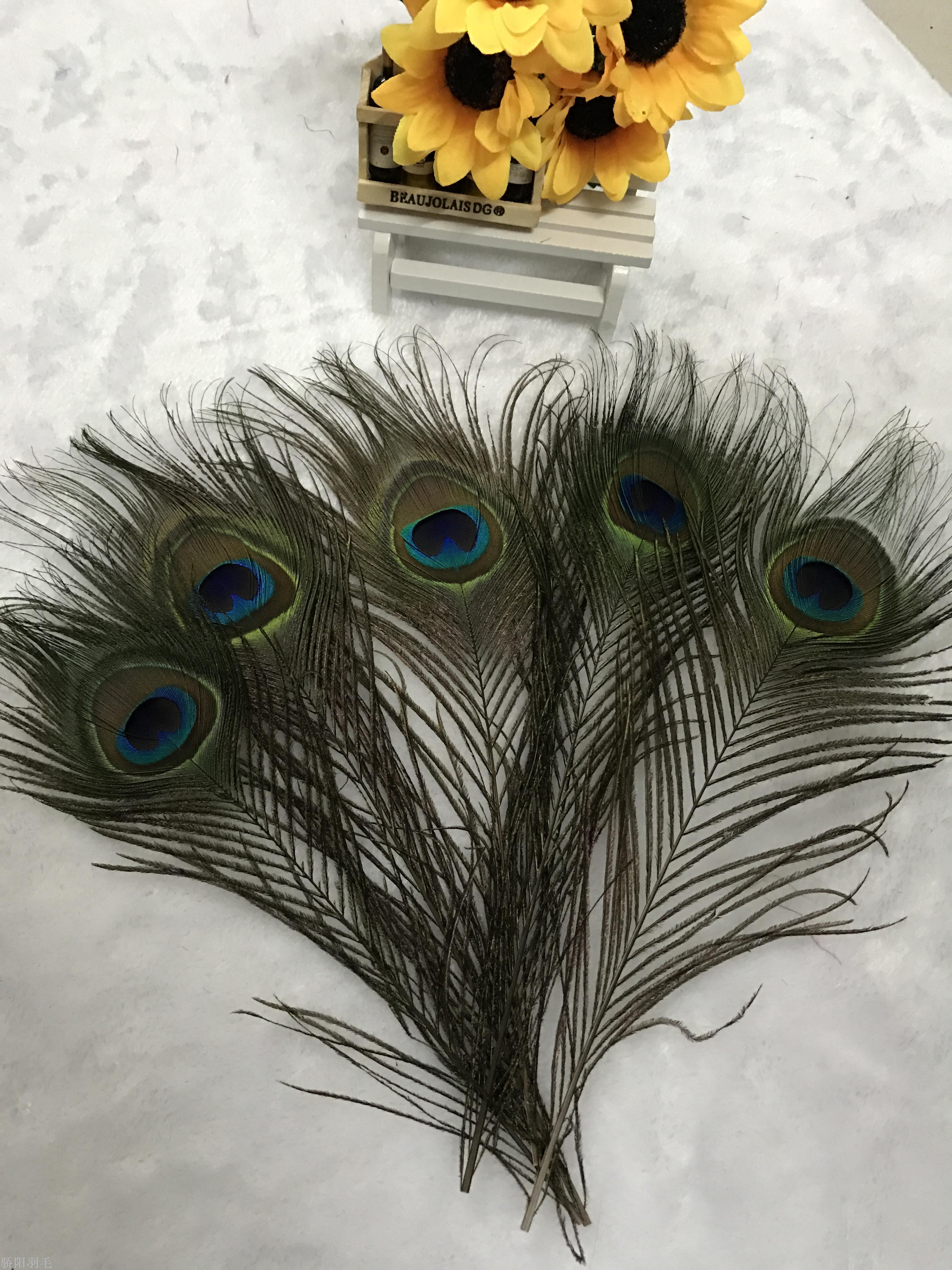 Spot supply of high quality wool, feathers, peacock pheasant Turkey, ostrich hair Spot supply of high quality wool, feathers, peacock pheasant Turkey, ostrich hair