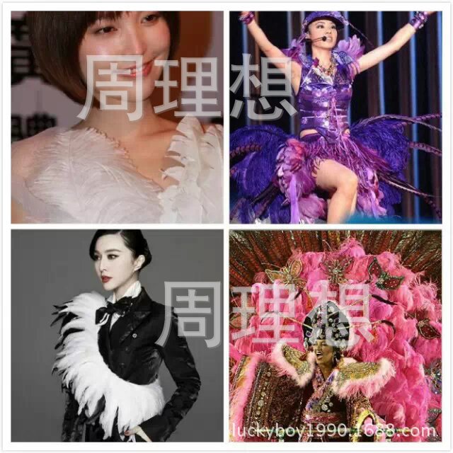 Manufacturers direct wedding dress white ostrich hair strip stage performance ostrich hair strip taste feather wholesale Manufacturers direct wedding dress white ostrich hair strip stage performance ostrich hair strip taste feather wholesale