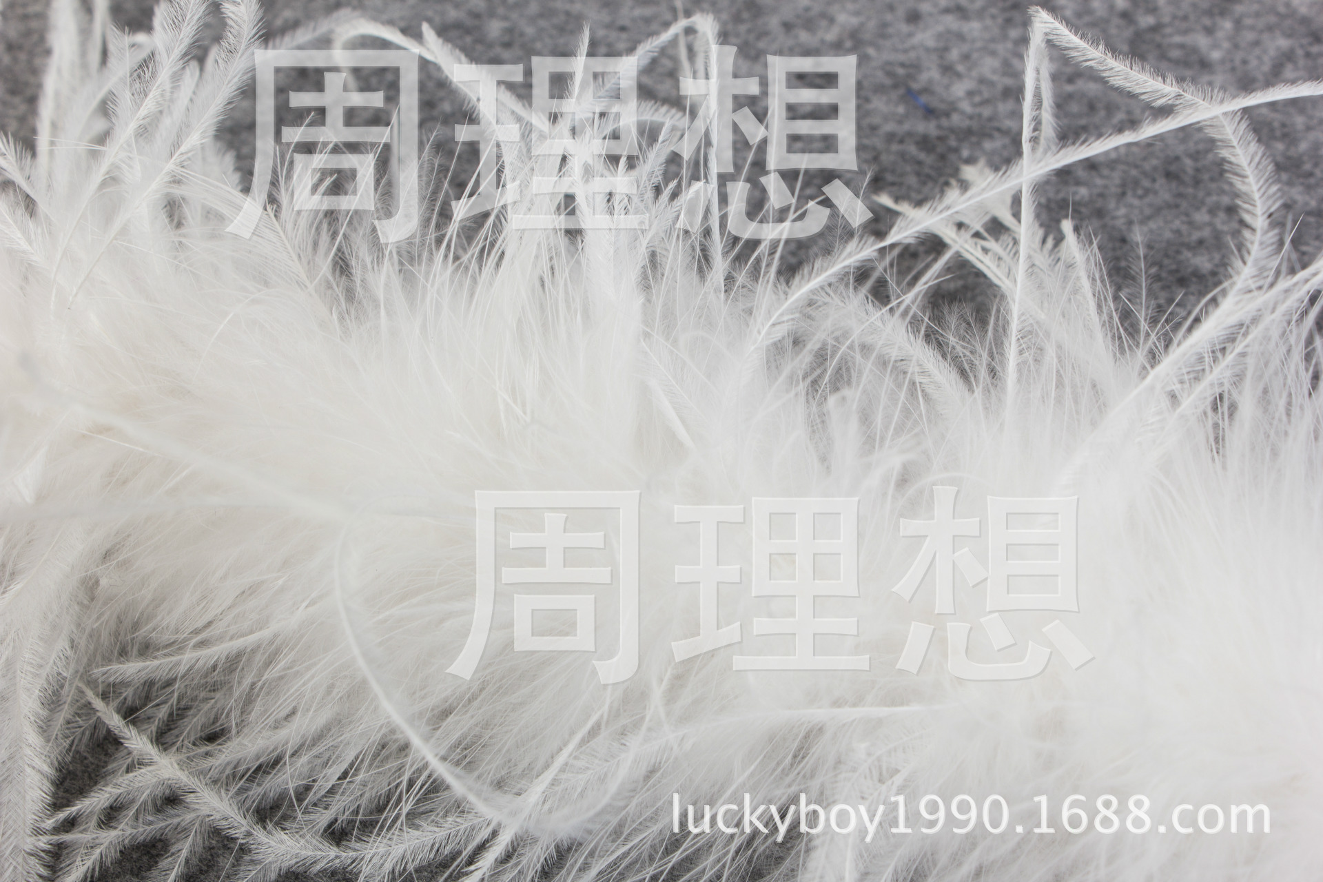 Manufacturers direct wedding dress white ostrich hair strip stage performance ostrich hair strip taste feather wholesale Manufacturers direct wedding dress white ostrich hair strip stage performance ostrich hair strip taste feather wholesale