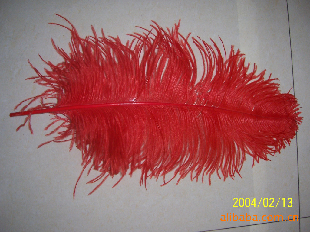 In Stock Wholesale 50/55 Length Ostrich Hair White Single Ostrich Hair