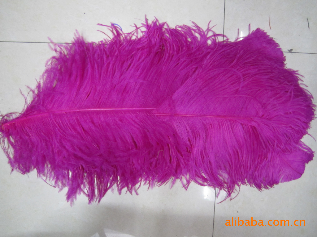 In Stock Wholesale 50/55 Length Ostrich Hair White Single Ostrich Hair