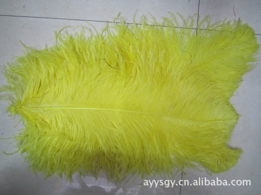 In Stock Wholesale 50/55 Length Ostrich Hair White Single Ostrich Hair In Stock Wholesale 50/55 Length Ostrich Hair White Single Ostrich Hair