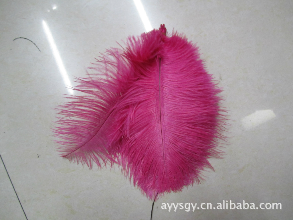 In Stock Wholesale 50/55 Length Ostrich Hair White Single Ostrich Hair In Stock Wholesale 50/55 Length Ostrich Hair White Single Ostrich Hair