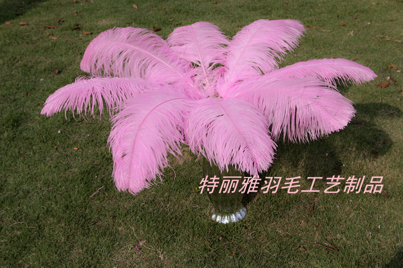 Factory Supply Imported Colored Ostrich Hair Feather Craft-65cm Factory Supply Imported Colored Ostrich Hair Feather Craft-65cm