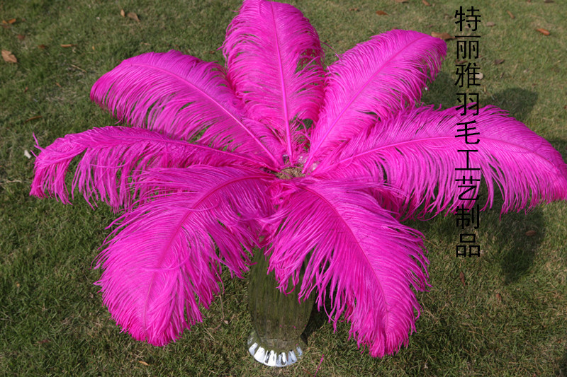 Factory Supply Imported Colored Ostrich Hair Feather Craft-65cm Factory Supply Imported Colored Ostrich Hair Feather Craft-65cm