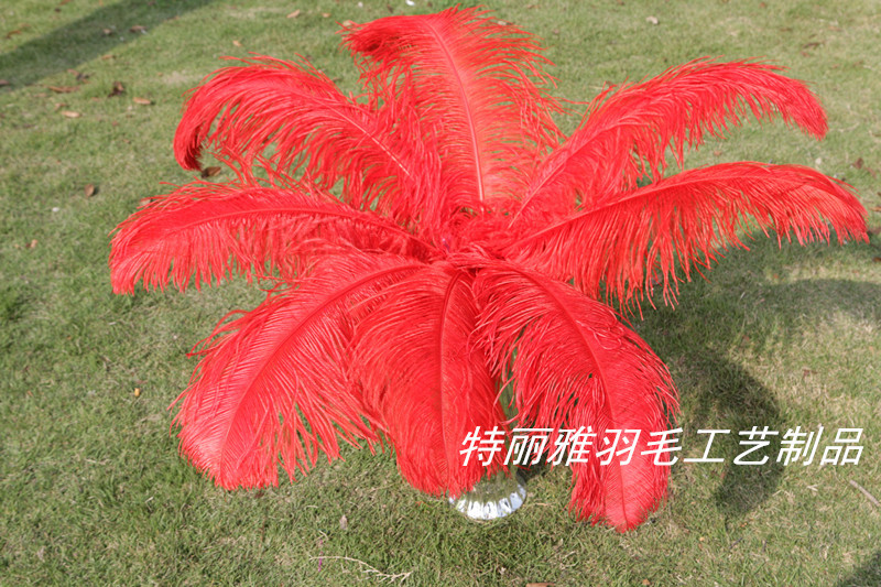 Factory Supply Imported Colored Ostrich Hair Feather Craft-65cm Factory Supply Imported Colored Ostrich Hair Feather Craft-65cm