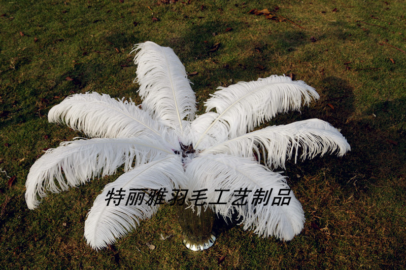 Factory Supply Imported Colored Ostrich Hair Feather Craft-65cm Factory Supply Imported Colored Ostrich Hair Feather Craft-65cm