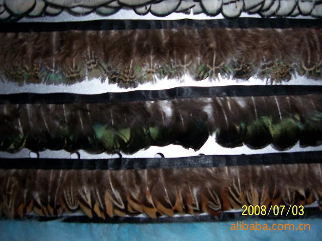 Specializing in the Production of Feather Woven Belt Ostrich Hair Ostrich Hair Woven Belt Hair Bands of Different Qualities Specializing in the Production of Feather Woven Belt Ostrich Hair Ostrich Hair Woven Belt Hair Bands of Different Qualities