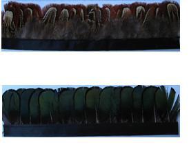 Specializing in the Production of Feather Woven Belt Ostrich Hair Ostrich Hair Woven Belt Hair Bands of Different Qualities Specializing in the Production of Feather Woven Belt Ostrich Hair Ostrich Hair Woven Belt Hair Bands of Different Qualities
