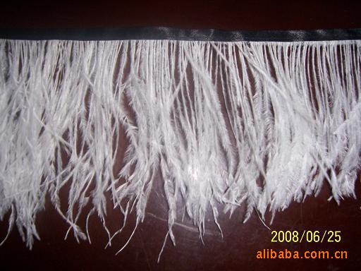 Specializing in the Production of Feather Woven Belt Ostrich Hair Ostrich Hair Woven Belt Hair Bands of Different Qualities Specializing in the Production of Feather Woven Belt Ostrich Hair Ostrich Hair Woven Belt Hair Bands of Different Qualities