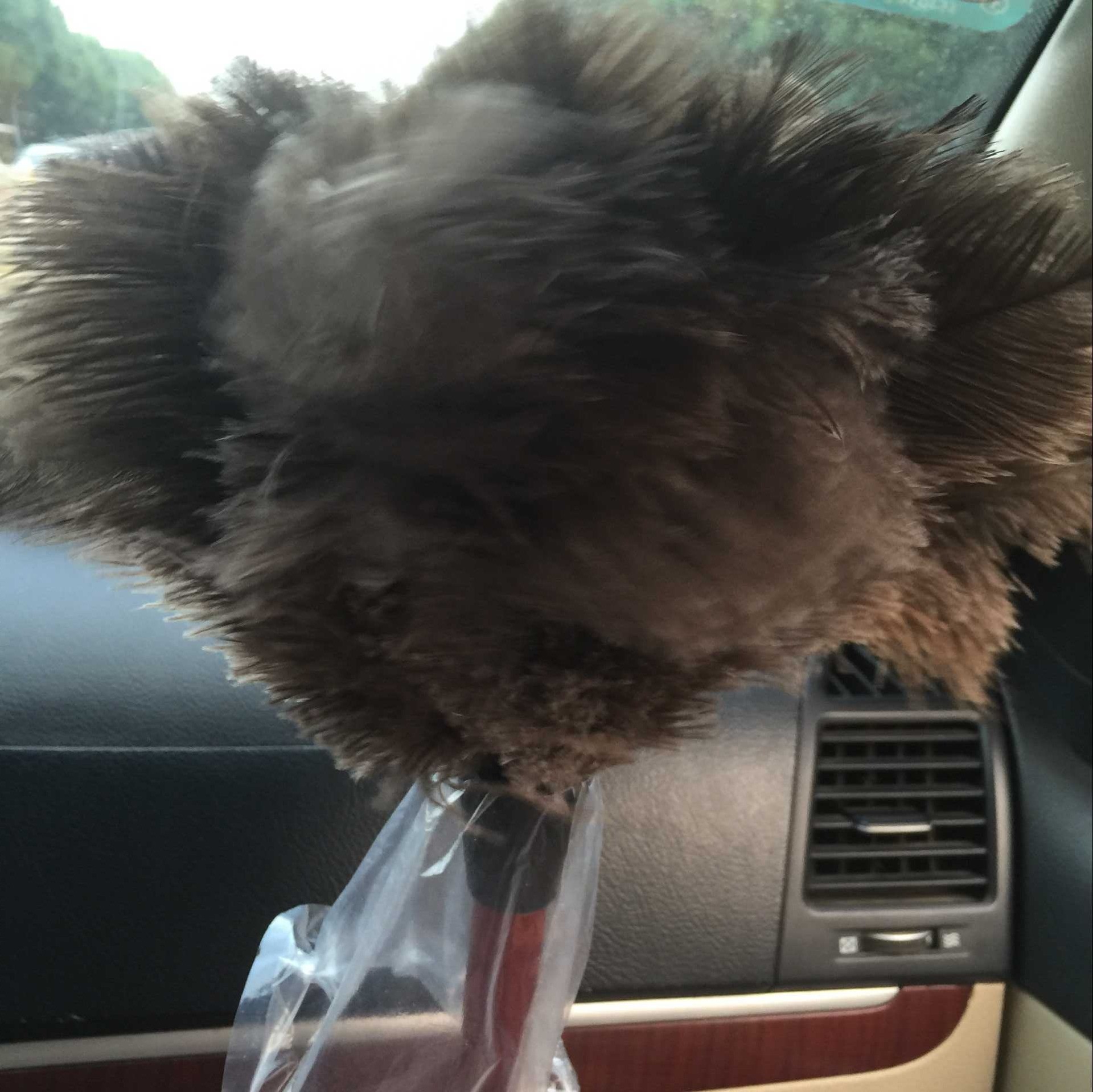 Supply Brush, Ostrich Hair Brush, Dust Removal Ostrich Feather Duster, Anti-Static Dust Removal Ostrich Hair Brush