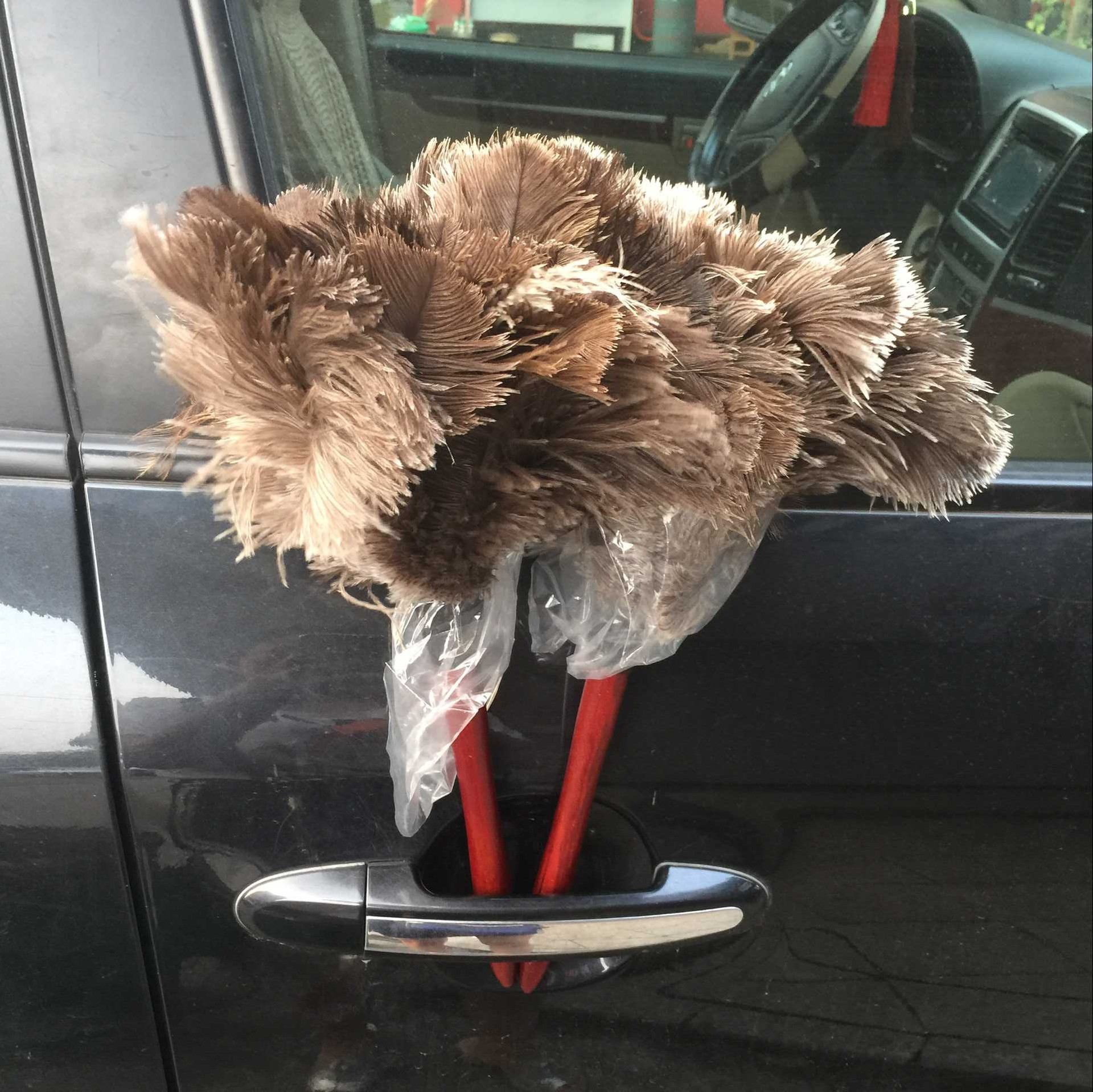 Supply Brush, Ostrich Hair Brush, Dust Removal Ostrich Feather Duster, Anti-Static Dust Removal Ostrich Hair Brush