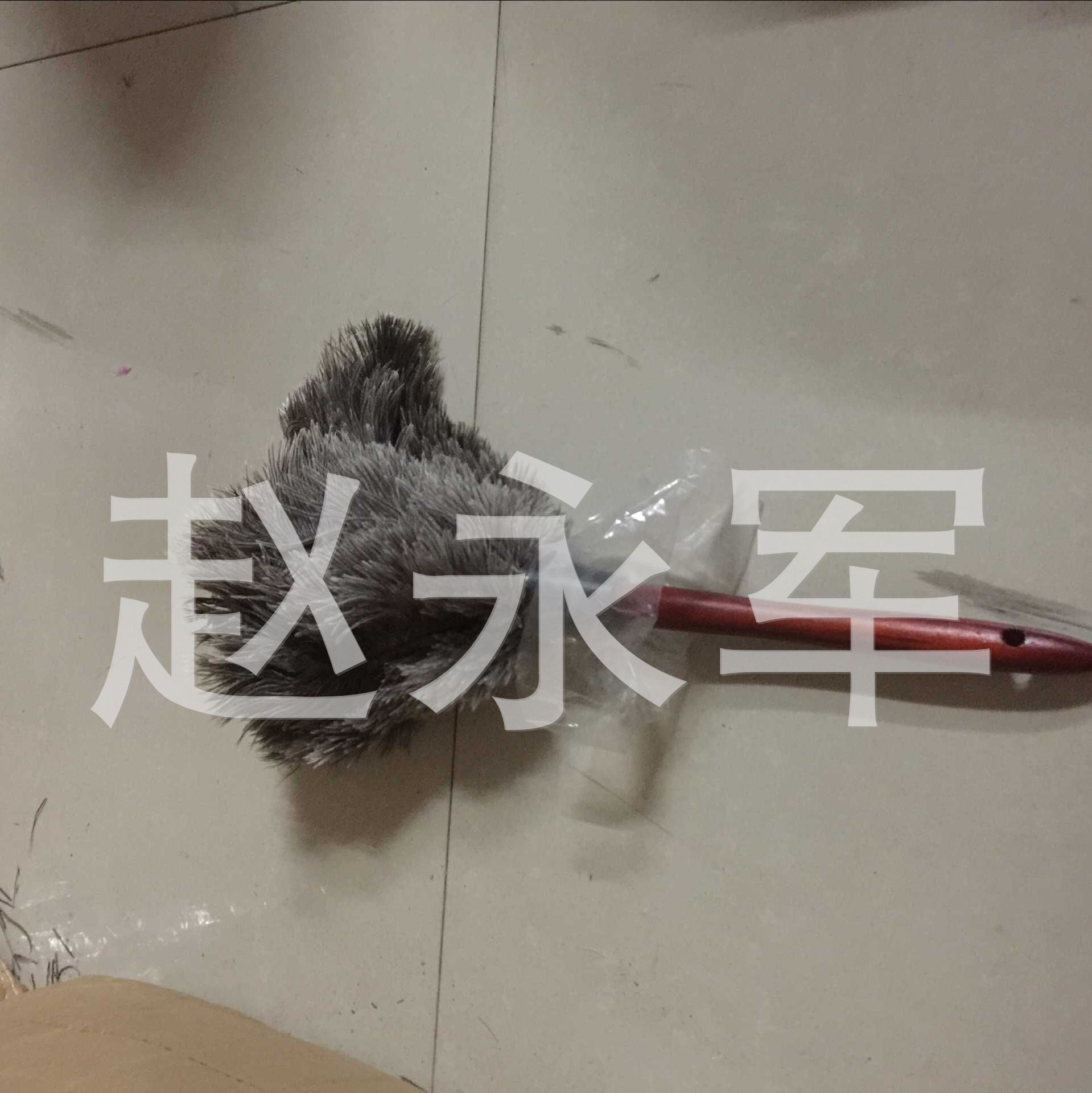 Supply Brush, Ostrich Hair Brush, Dust Removal Ostrich Feather Duster, Anti-Static Dust Removal Ostrich Hair Brush Supply Brush, Ostrich Hair Brush, Dust Removal Ostrich Feather Duster, Anti-Static Dust Removal Ostrich Hair Brush