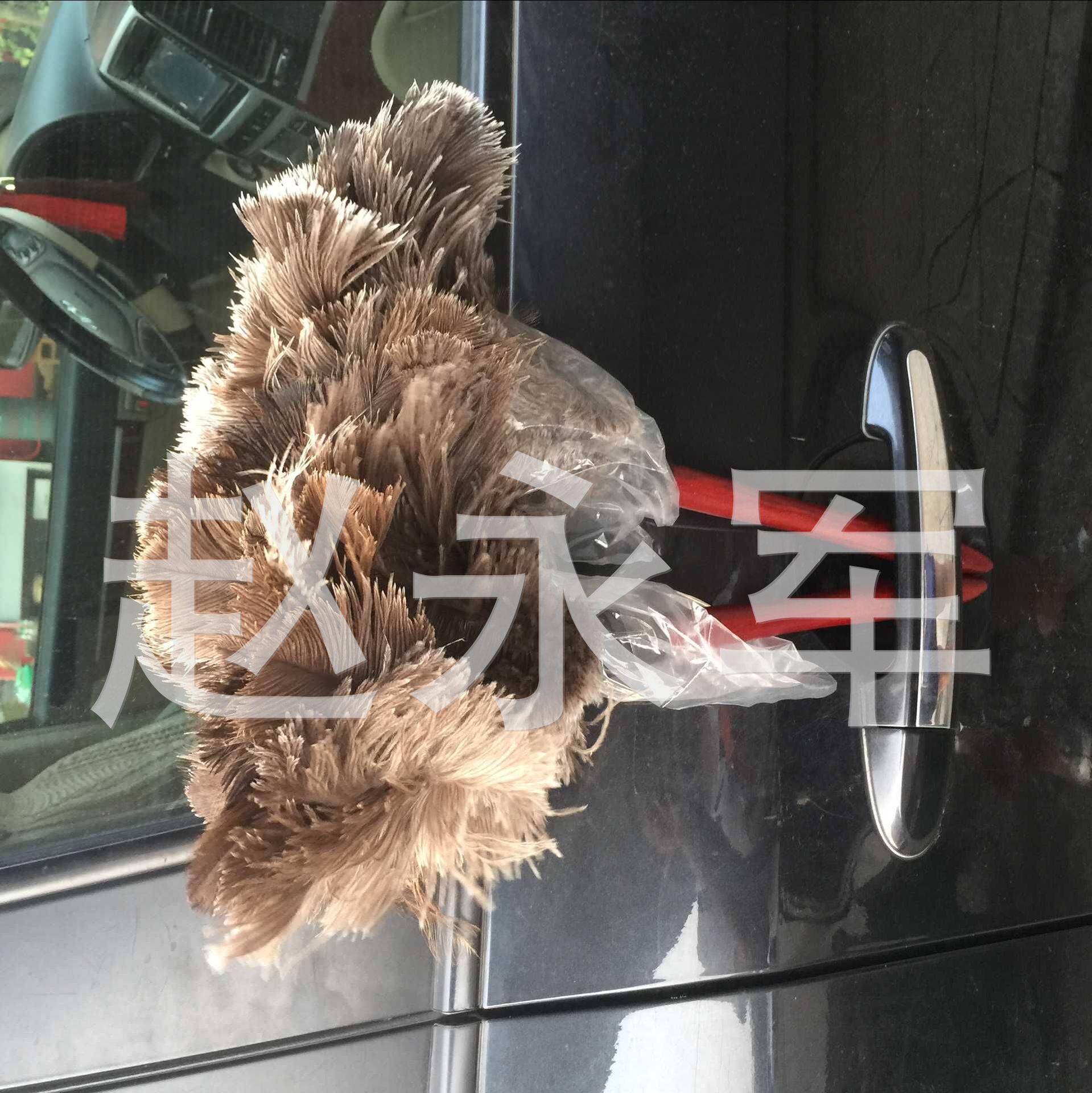 Supply Brush, Ostrich Hair Brush, Dust Removal Ostrich Feather Duster, Anti-Static Dust Removal Ostrich Hair Brush Supply Brush, Ostrich Hair Brush, Dust Removal Ostrich Feather Duster, Anti-Static Dust Removal Ostrich Hair Brush