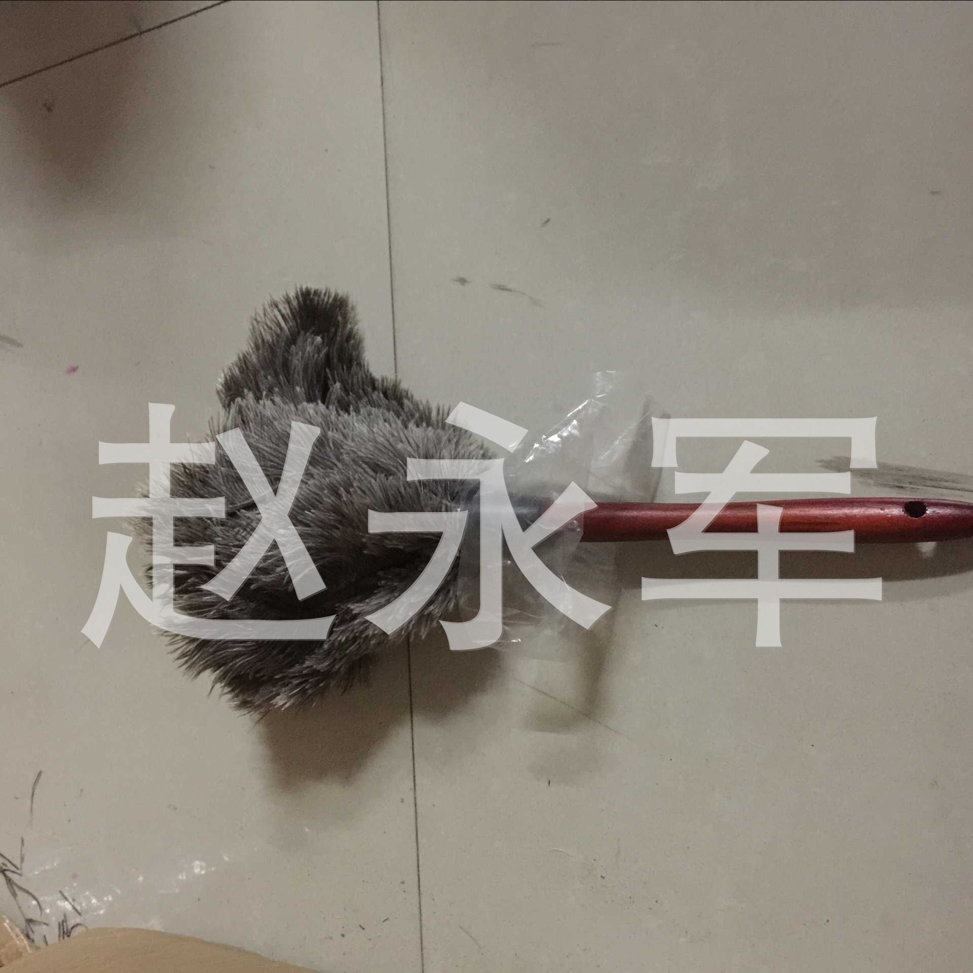 Supply Brush, Ostrich Hair Brush, Dust Removal Ostrich Feather Duster, Anti-Static Dust Removal Ostrich Hair Brush Supply Brush, Ostrich Hair Brush, Dust Removal Ostrich Feather Duster, Anti-Static Dust Removal Ostrich Hair Brush