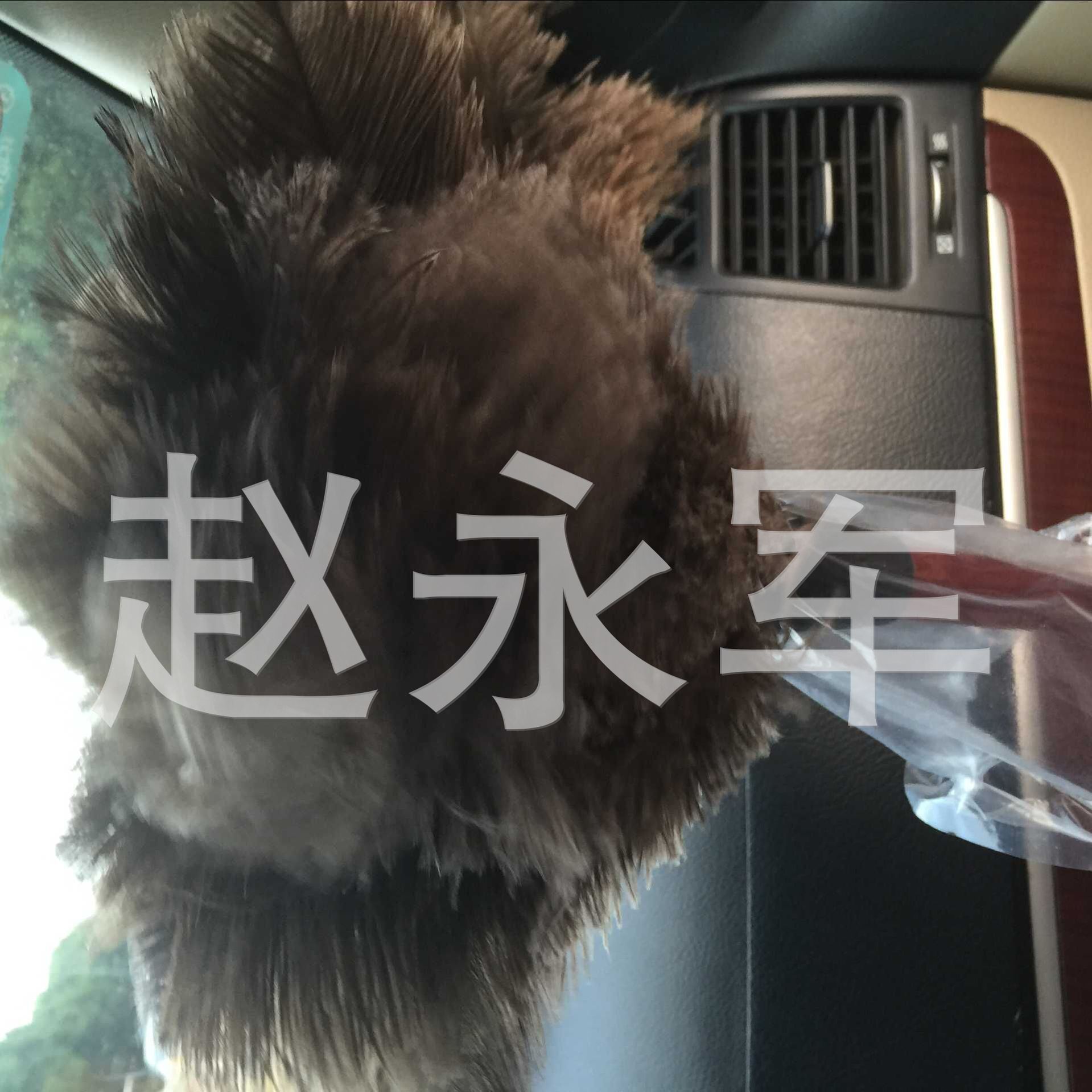Supply Brush, Ostrich Hair Brush, Dust Removal Ostrich Feather Duster, Anti-Static Dust Removal Ostrich Hair Brush Supply Brush, Ostrich Hair Brush, Dust Removal Ostrich Feather Duster, Anti-Static Dust Removal Ostrich Hair Brush