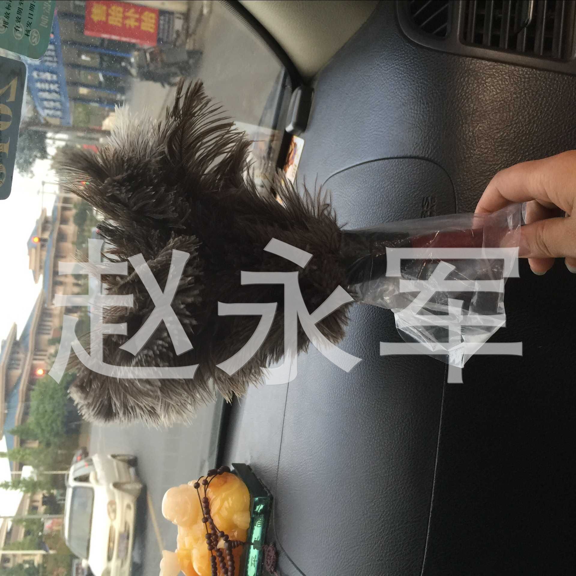 Supply Brush, Ostrich Hair Brush, Dust Removal Ostrich Feather Duster, Anti-Static Dust Removal Ostrich Hair Brush Supply Brush, Ostrich Hair Brush, Dust Removal Ostrich Feather Duster, Anti-Static Dust Removal Ostrich Hair Brush