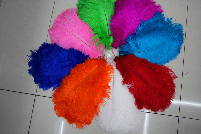 The sun feather manufacturers selling 12 natural color ostrich hair 15-20CM