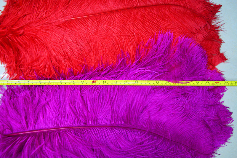 The sun feather manufacturers selling 12 natural color ostrich hair 15-20CM