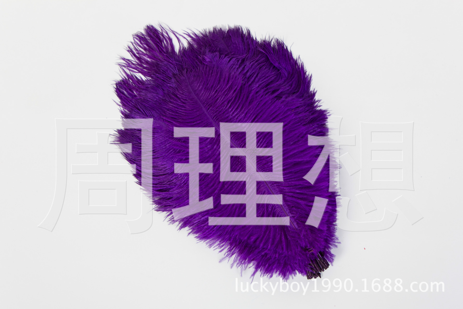 Manufacturers direct sales 25-30cm color ostrich hair wedding ostrich hair DIY accessories feathers spot