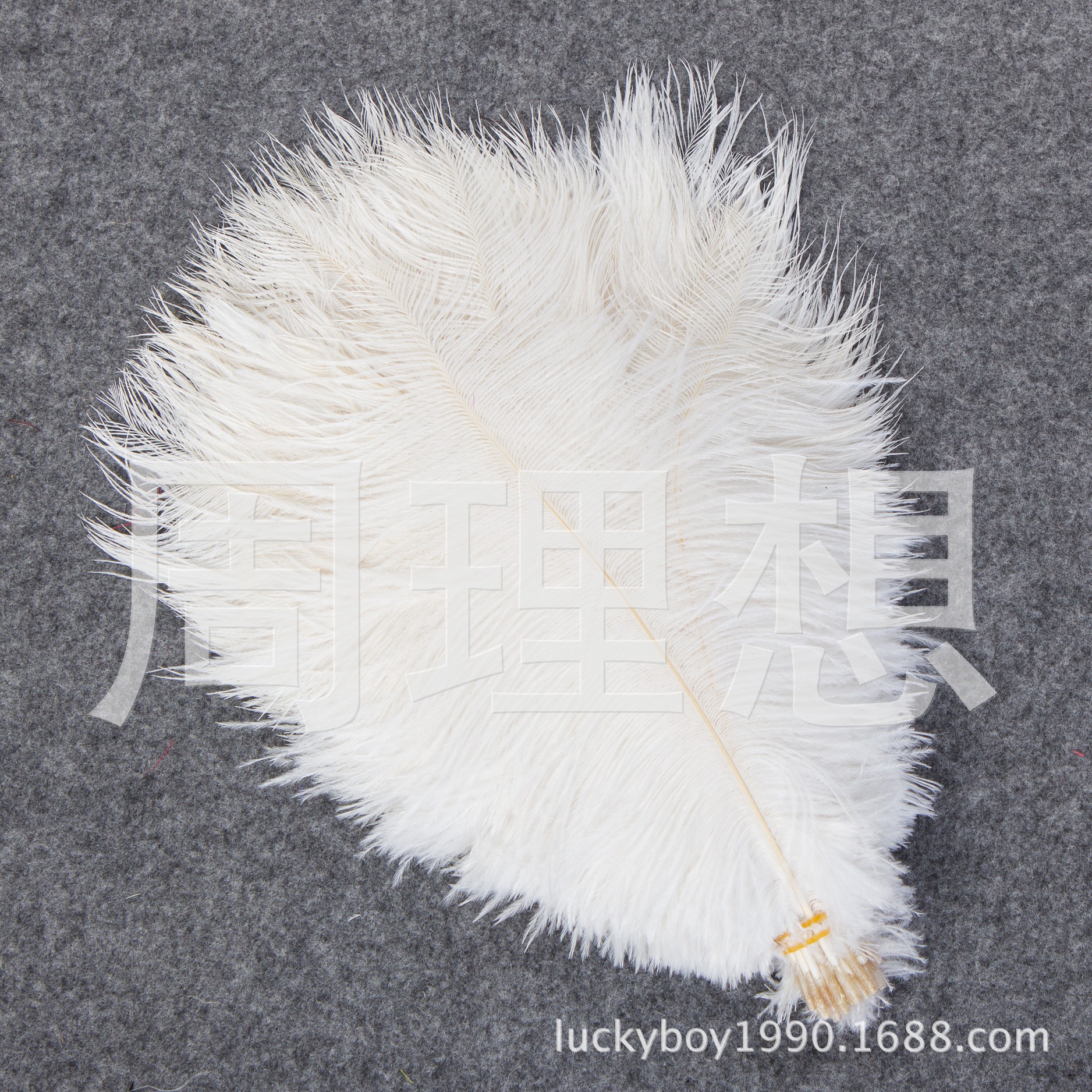 Manufacturers direct sales 25-30cm color ostrich hair wedding ostrich hair DIY accessories feathers spot