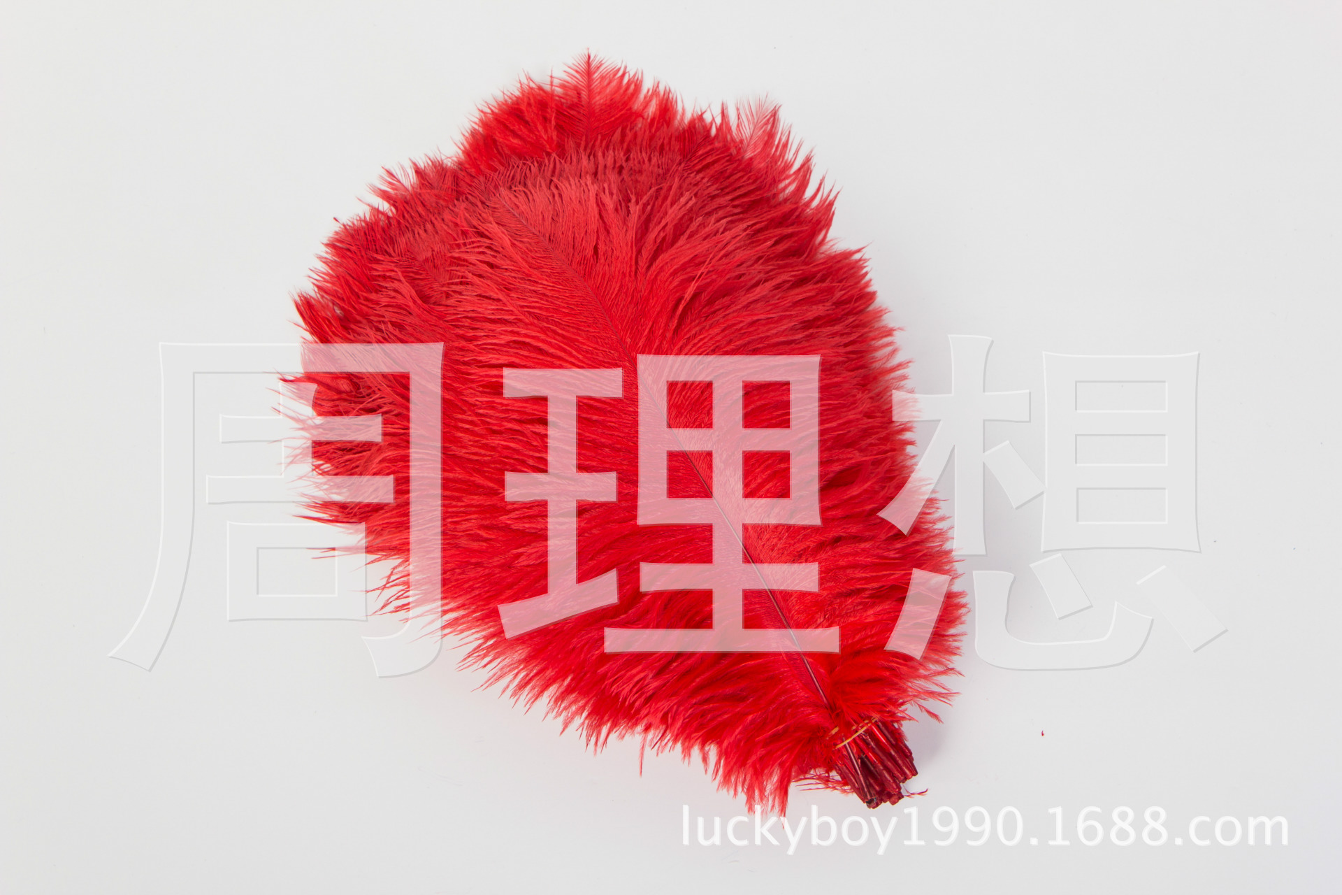 Manufacturers direct sales 25-30cm color ostrich hair wedding ostrich hair DIY accessories feathers spot