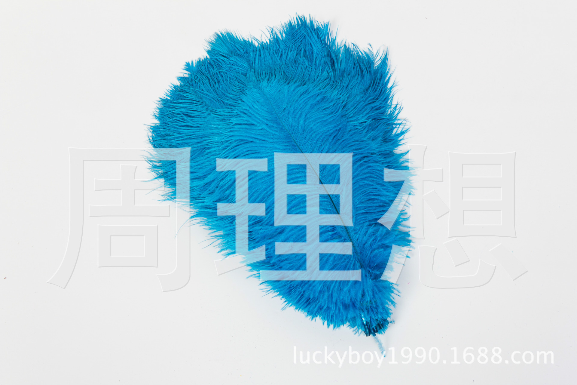 Manufacturers direct sales 25-30cm color ostrich hair wedding ostrich hair DIY accessories feathers spot