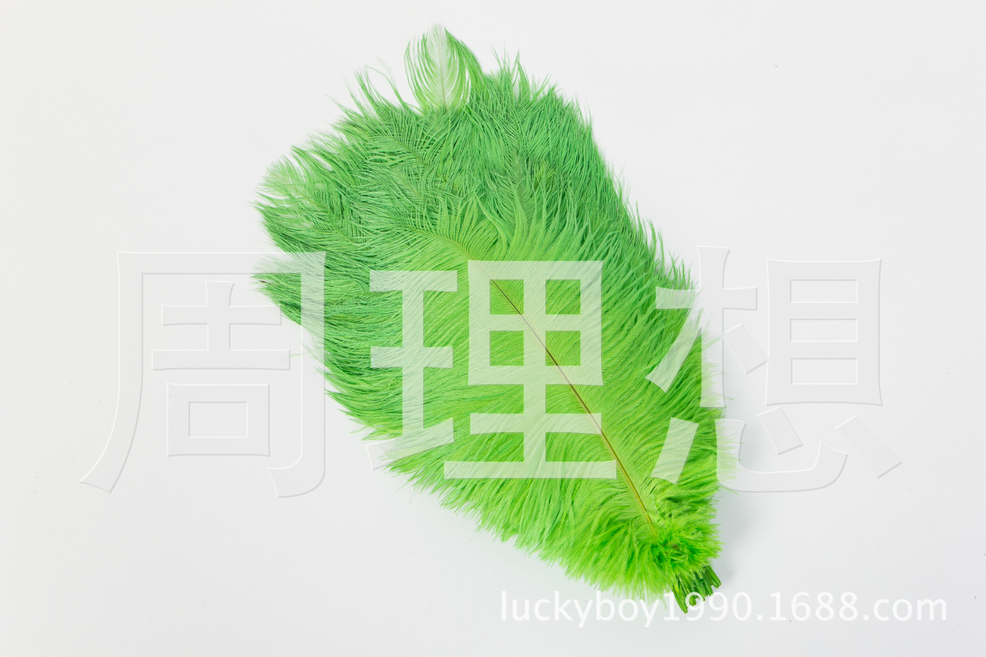 Manufacturers direct sales 25-30cm color ostrich hair wedding ostrich hair DIY accessories feathers spot