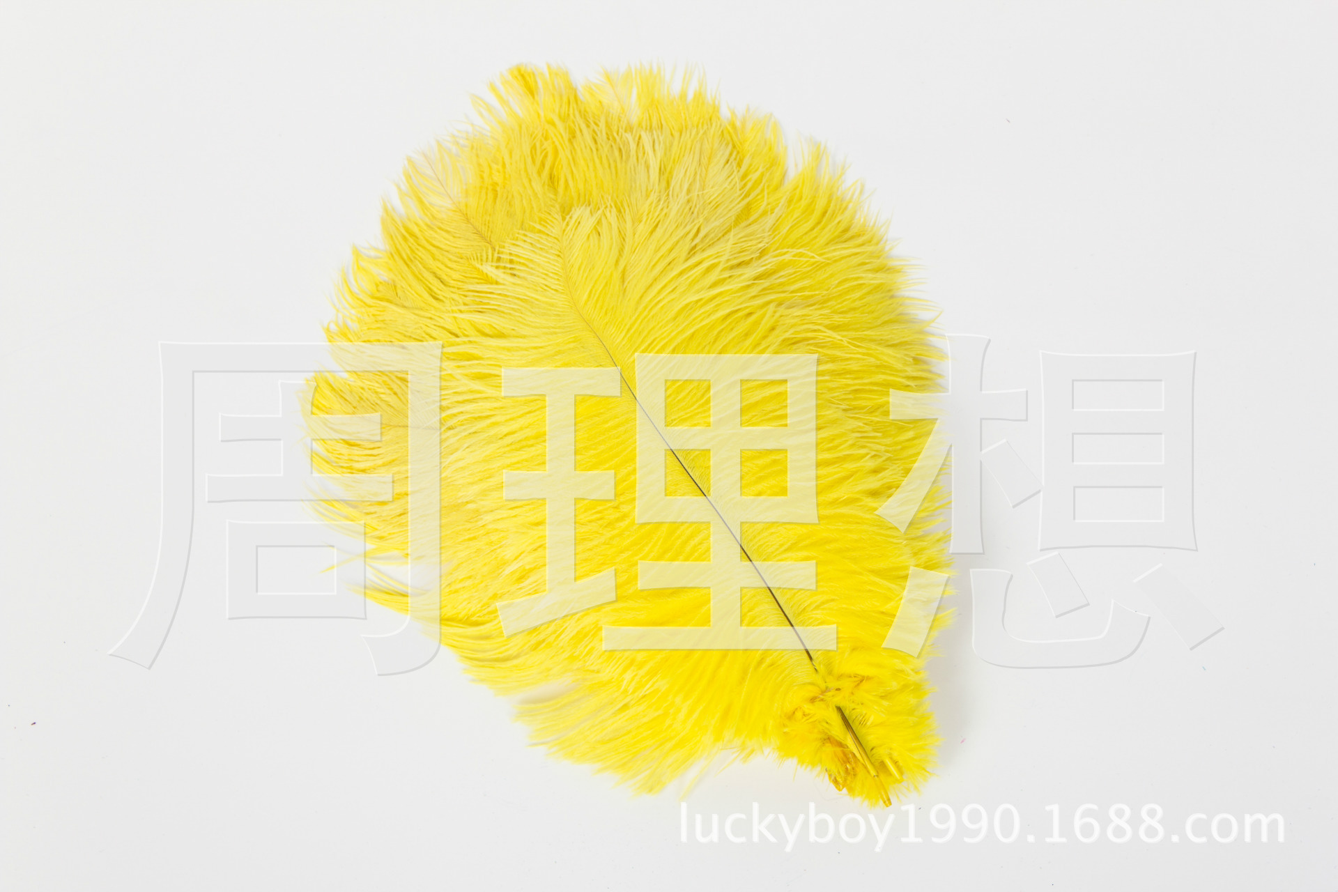 Manufacturers direct sales 25-30cm color ostrich hair wedding ostrich hair DIY accessories feathers spot
