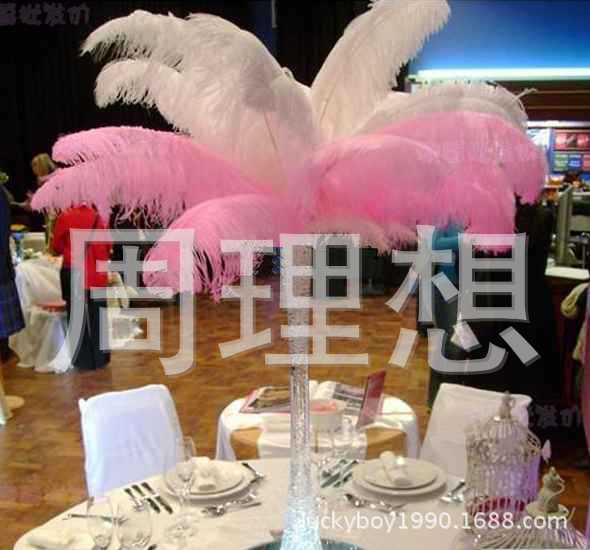 Manufacturers direct sales 25-30cm color ostrich hair wedding ostrich hair DIY accessories feathers spot
