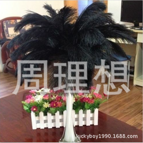 Manufacturers direct sales 25-30cm color ostrich hair wedding ostrich hair DIY accessories feathers spot