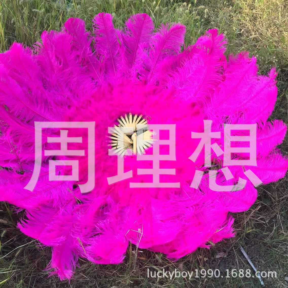 Manufacturers direct sales 25-30cm color ostrich hair wedding ostrich hair DIY accessories feathers spot