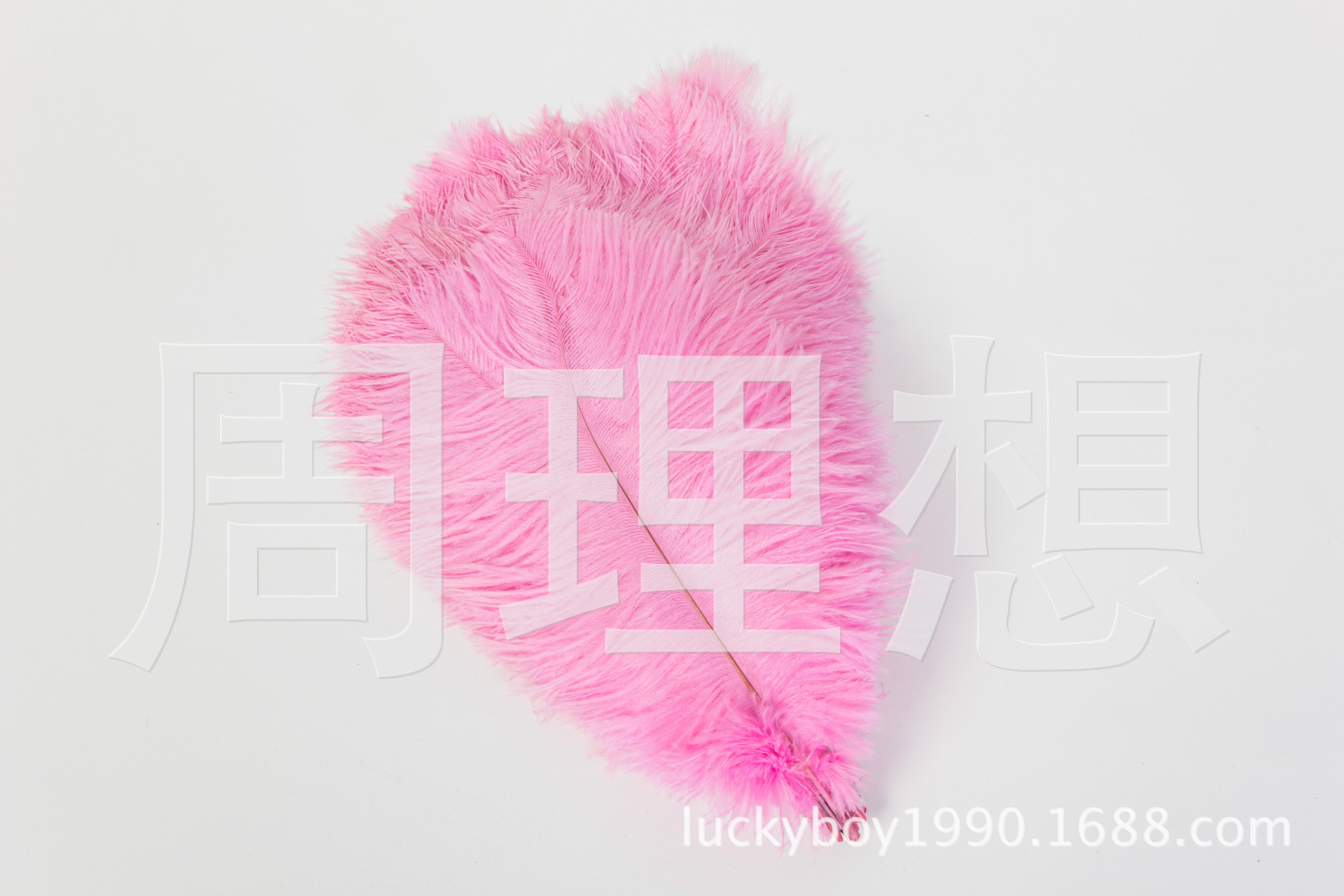 Manufacturers direct sales 25-30cm color ostrich hair wedding ostrich hair DIY accessories feathers spot