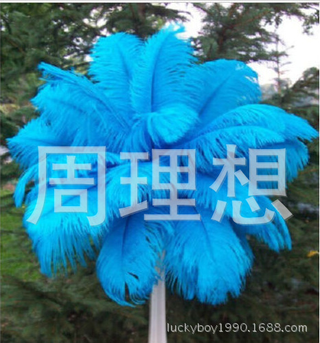 Manufacturers direct sales 25-30cm color ostrich hair wedding ostrich hair DIY accessories feathers spot