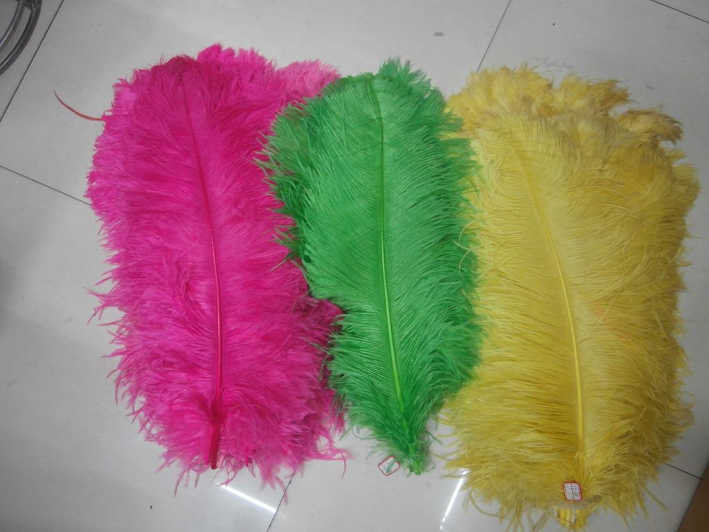 The ostrich hair