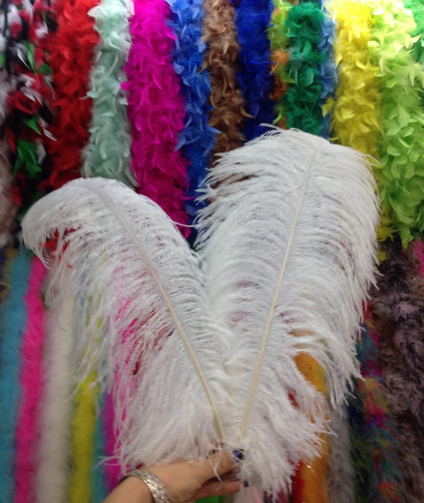 The ostrich hair