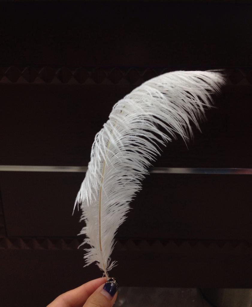 The ostrich hair