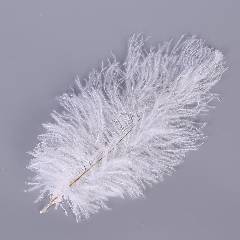 Spot Supply Ostrich Hair Thin Rod Soft Hair 25-30cm Various Colors Wedding Celebration Decoration Feather Flower Arrangement Feather