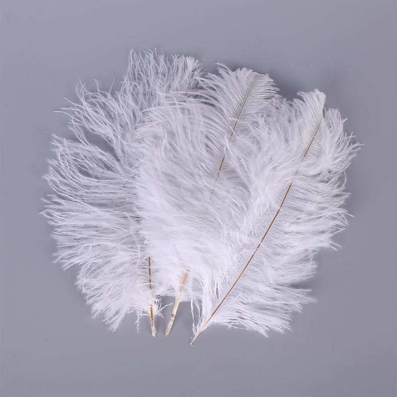 Spot Supply Ostrich Hair Thin Rod Soft Hair 25-30cm Various Colors Wedding Celebration Decoration Feather Flower Arrangement Feather